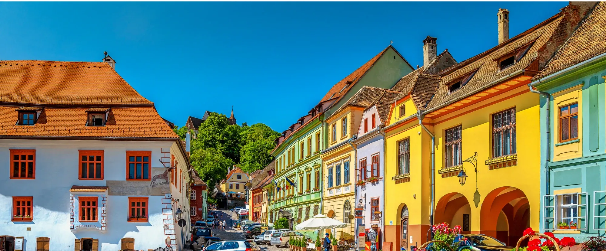 Ronenia: New Era of Innovation, Lifestyle, Purposeful Living