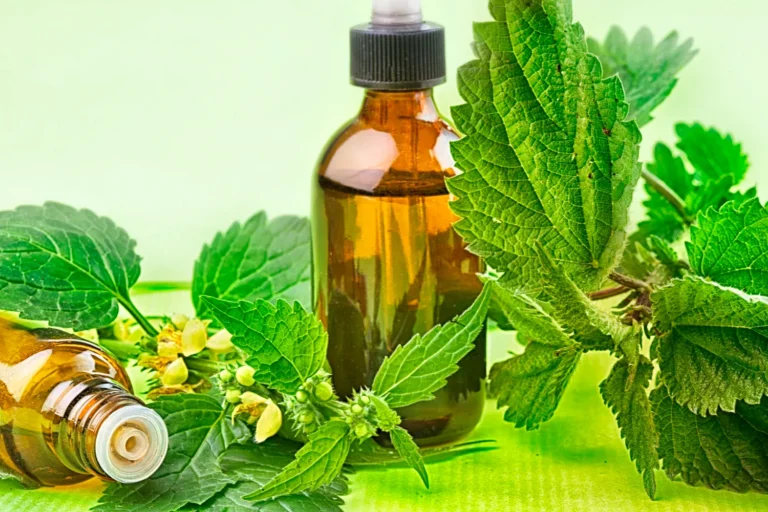 Senaven: Meaning Concept and Its Growing Relevance